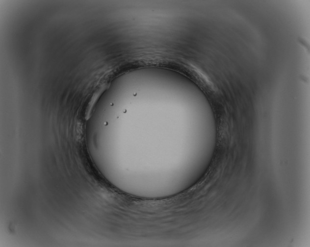 X0000091660025200709131518