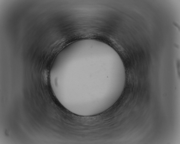 X0000091660026200709131518