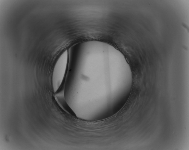 X0000091660027200709131518