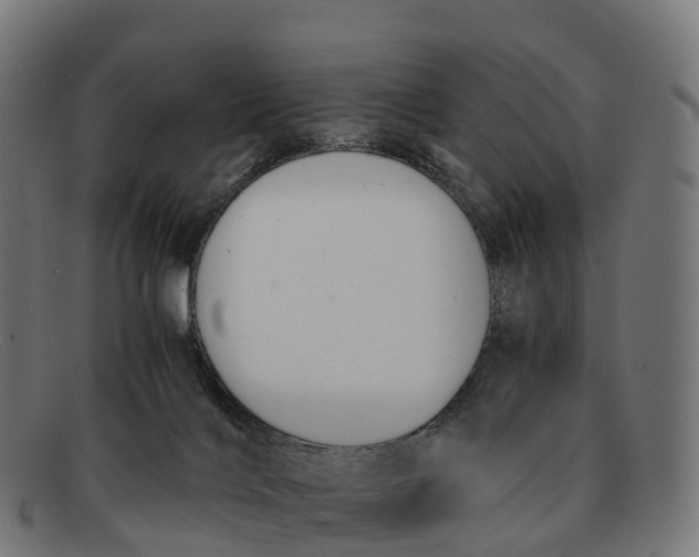 X0000091660028200709131518