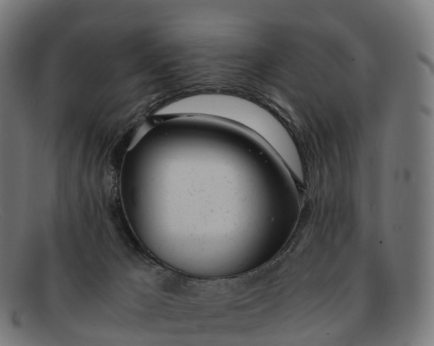 X0000091660029200709131518