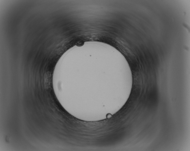 X0000091660030200709131518