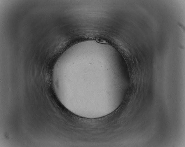 X0000091660031200709131518