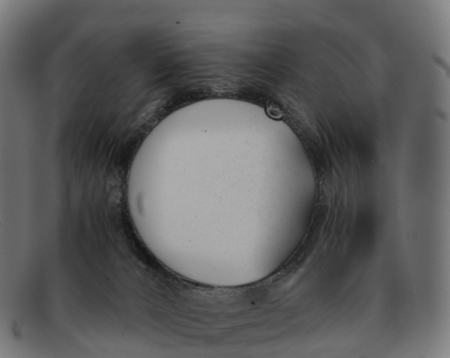 X0000091660032200709131518