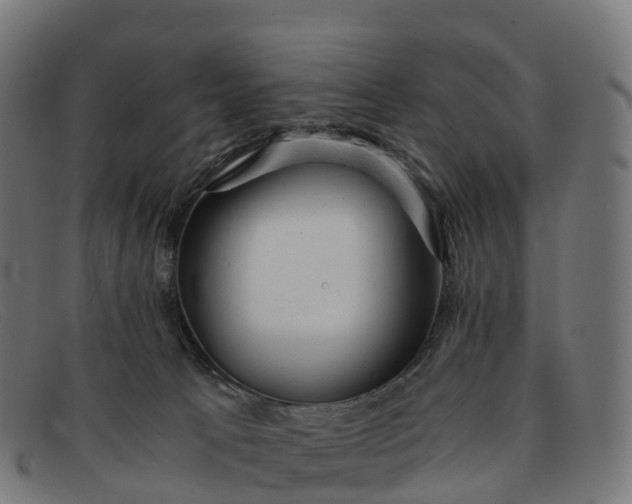 X0000091660033200709131518