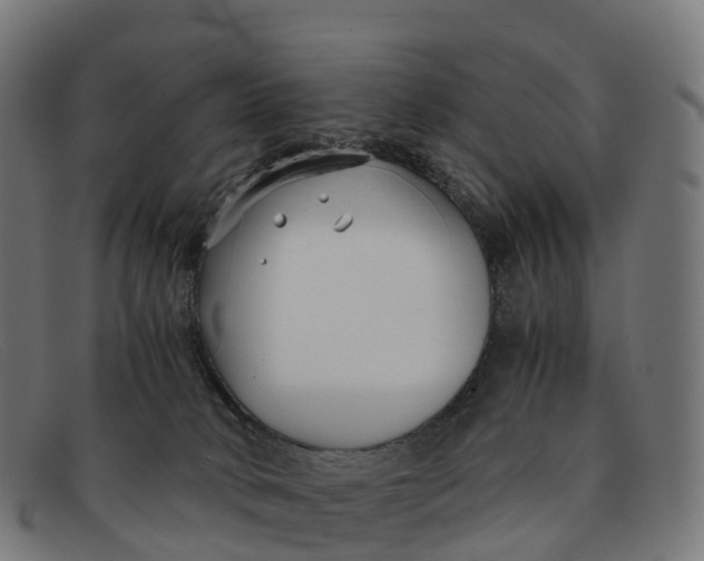 X0000091660034200709131518