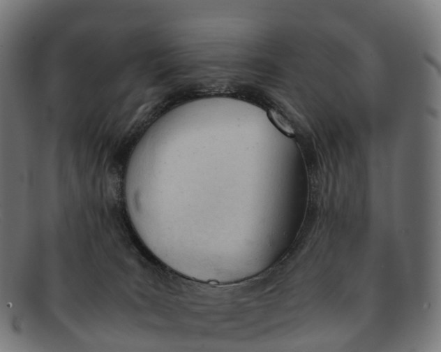 X0000091660035200709131518