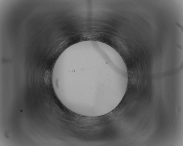 X0000091660036200709131518