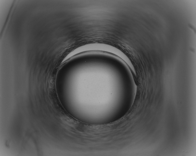 X0000091660037200709131518