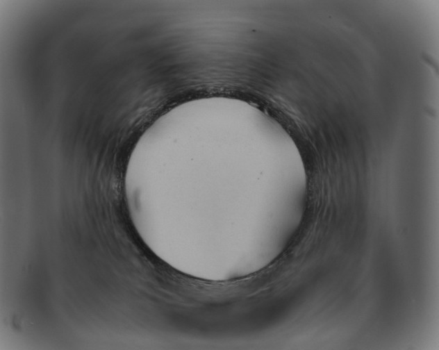 X0000091660039200709131518