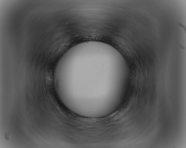 X0000091660040200709131518