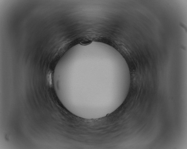 X0000091660042200709131518