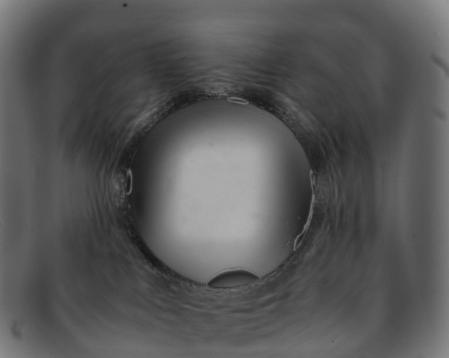 X0000091660043200709131518