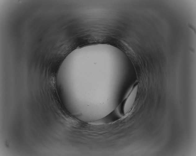 X0000091660045200709131518