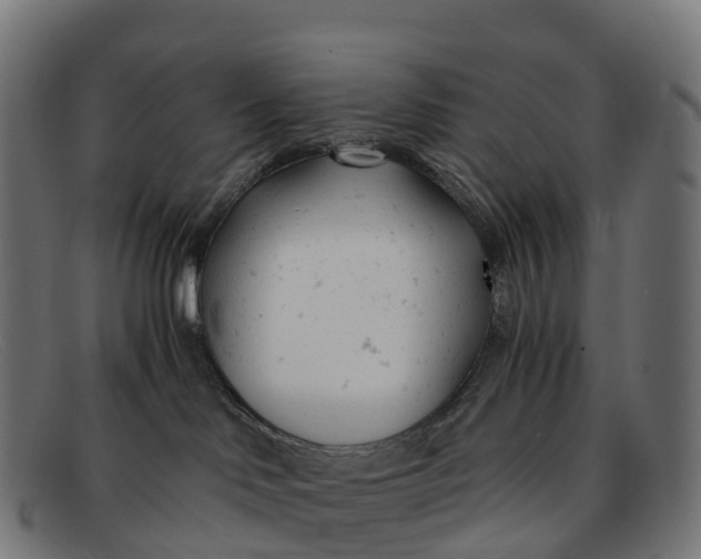 X0000091660046200709131518