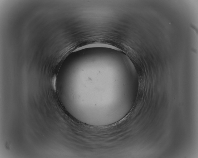 X0000091660047200709131518