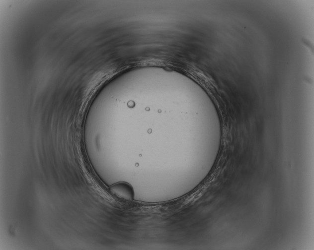 X0000091660049200709131517