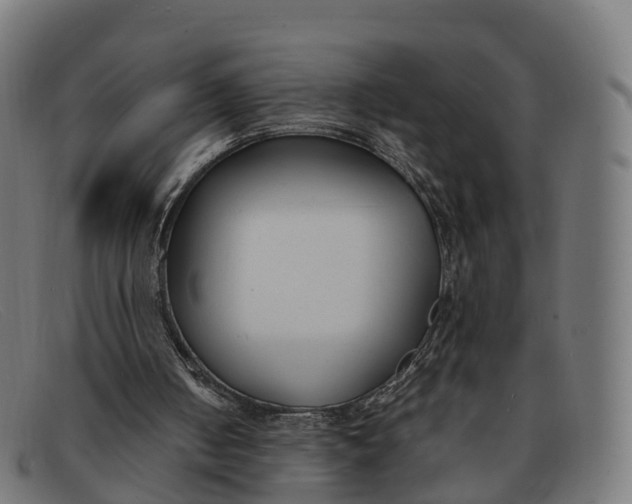 X0000091660050200709131517