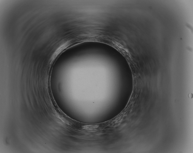 X0000091660051200709131517