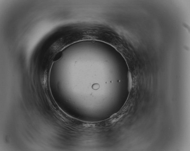 X0000091660052200709131517