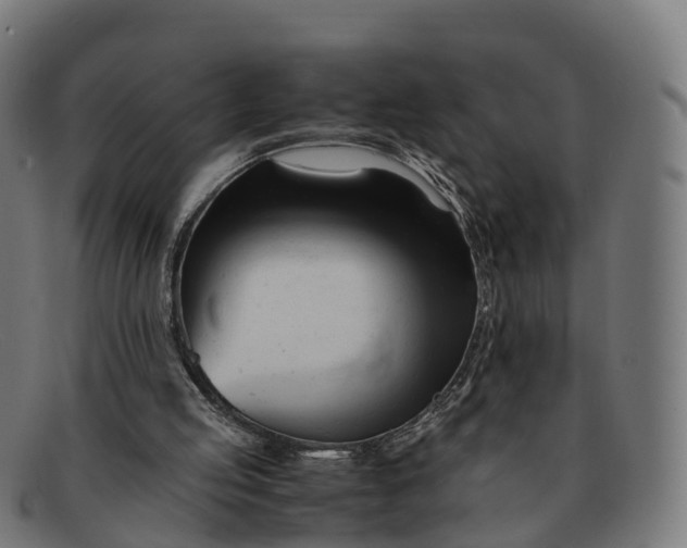 X0000091660053200709131517