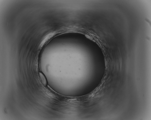 X0000091660054200709131517