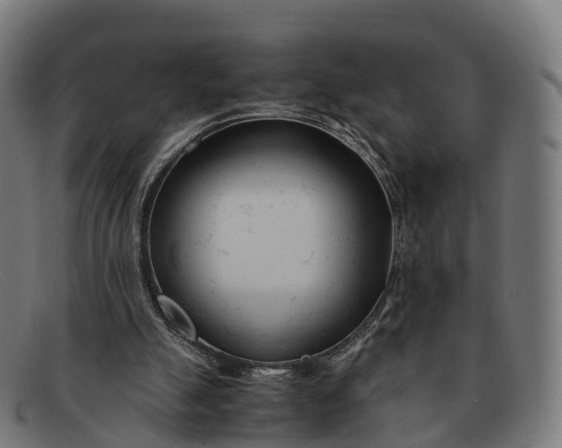 X0000091660055200709131517