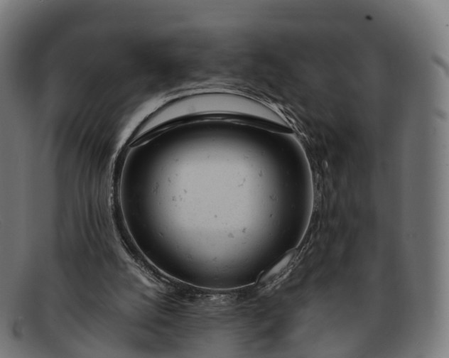 X0000091660056200709131517