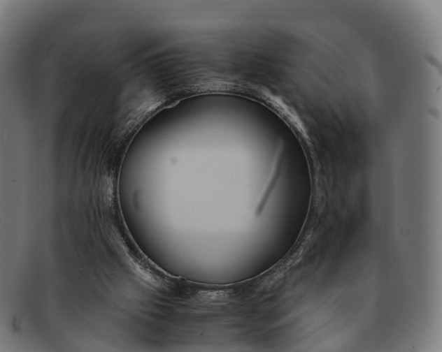 X0000091660057200709131517