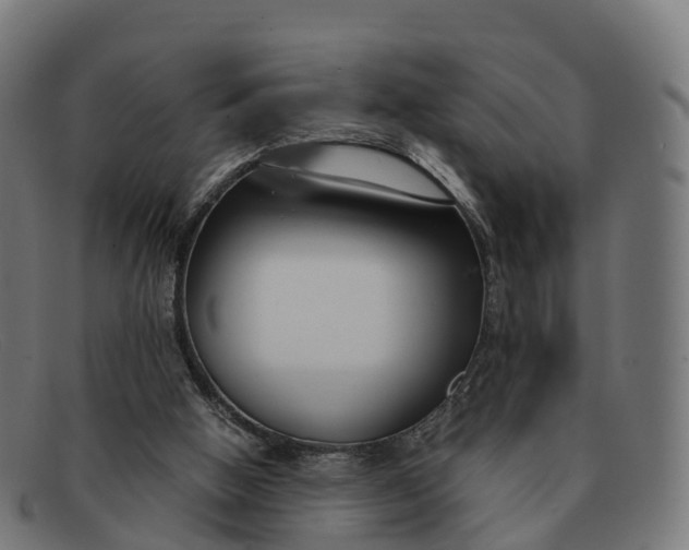 X0000091660058200709131517