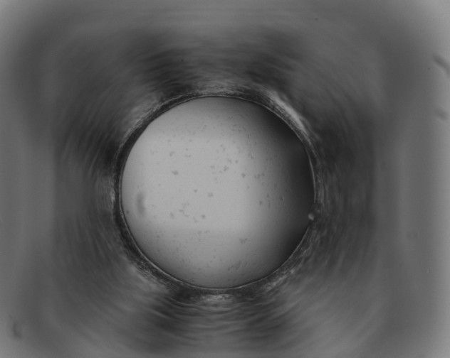 X0000091660059200709131517