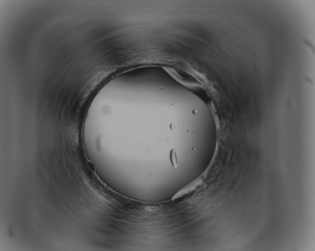 X0000091660060200709131517