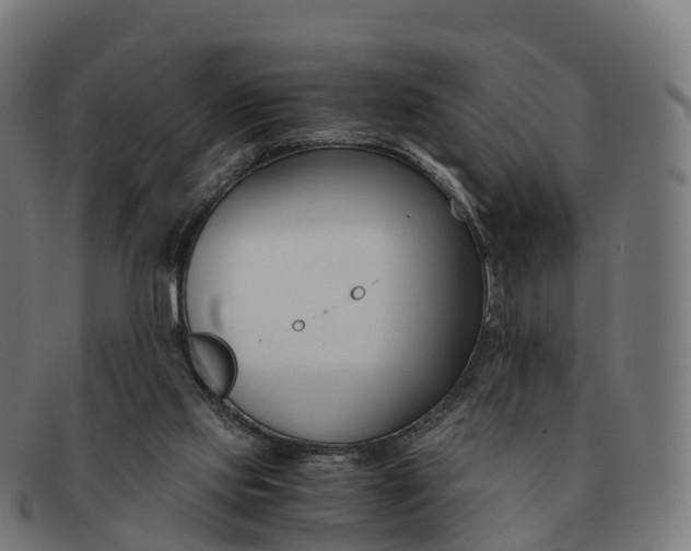 X0000091660061200709131517