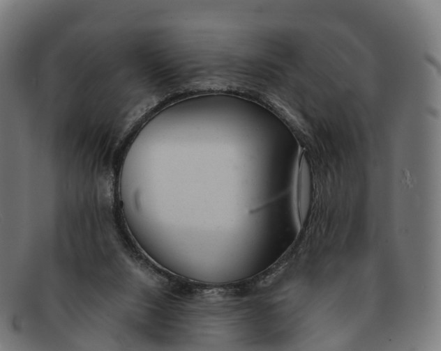 X0000091660064200709131517