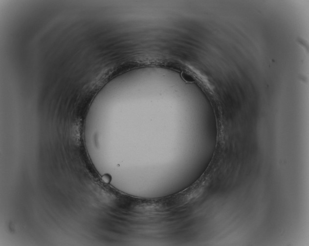 X0000091660065200709131517