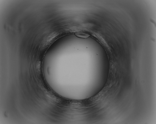 X0000091660066200709131517