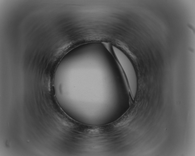 X0000091660068200709131517