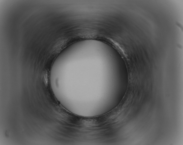 X0000091660069200709131517