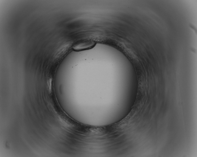 X0000091660070200709131517