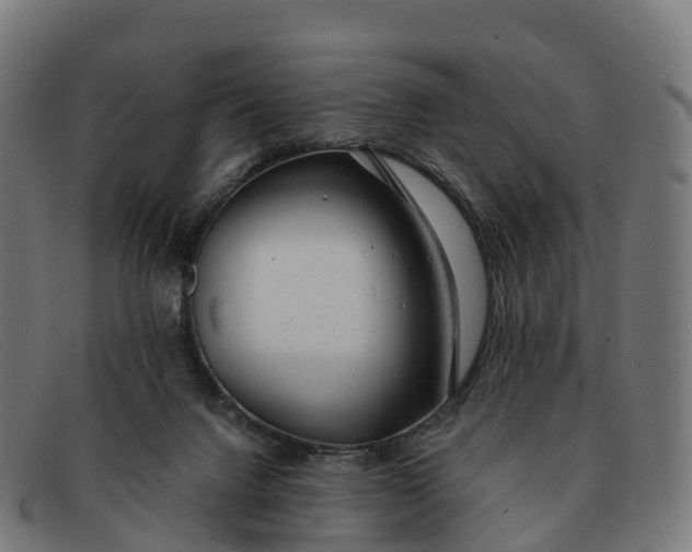 X0000091660072200709131517