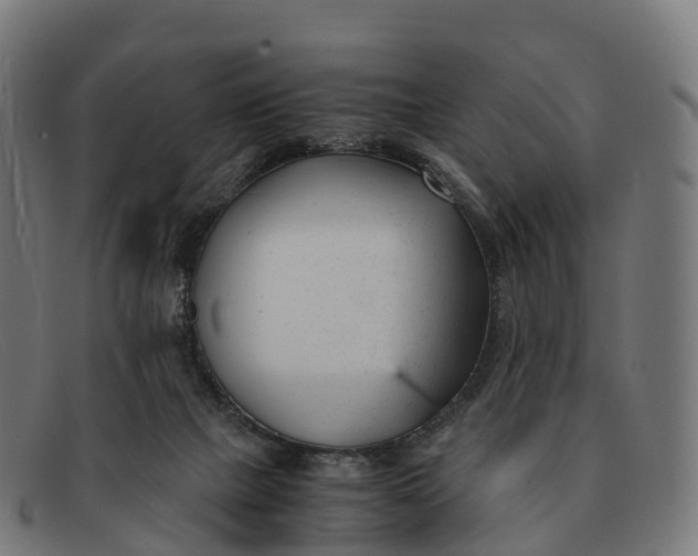 X0000091660073200709131517