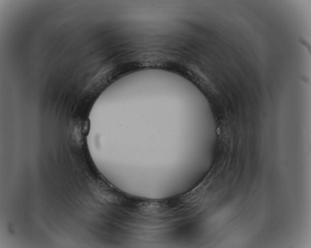 X0000091660074200709131517