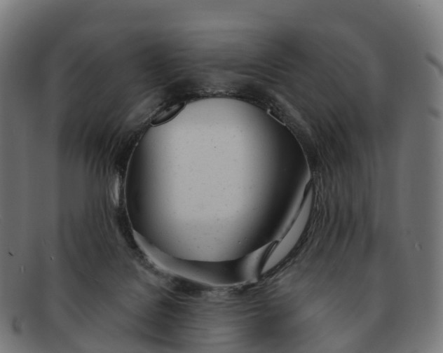 X0000091660076200709131517