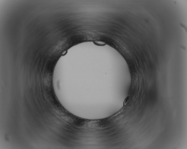 X0000091660078200709131517