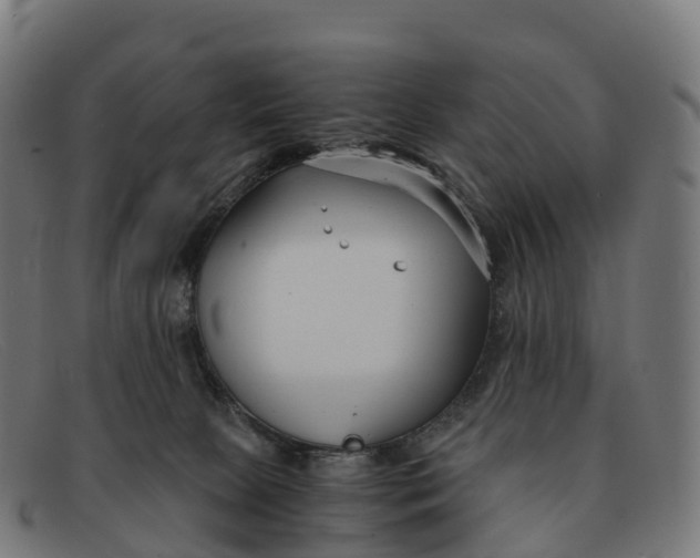 X0000091660081200709131518