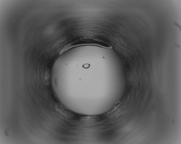 X0000091660082200709131518