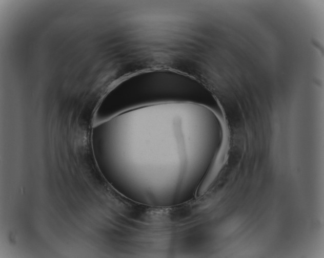 X0000091660084200709131518