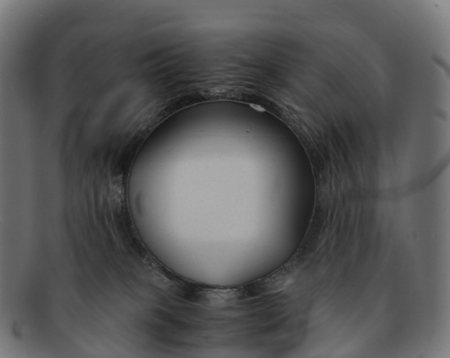 X0000091660085200709131518