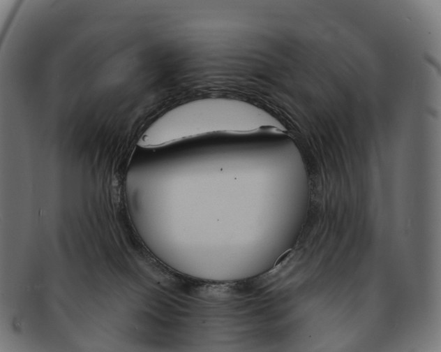 X0000091660086200709131518