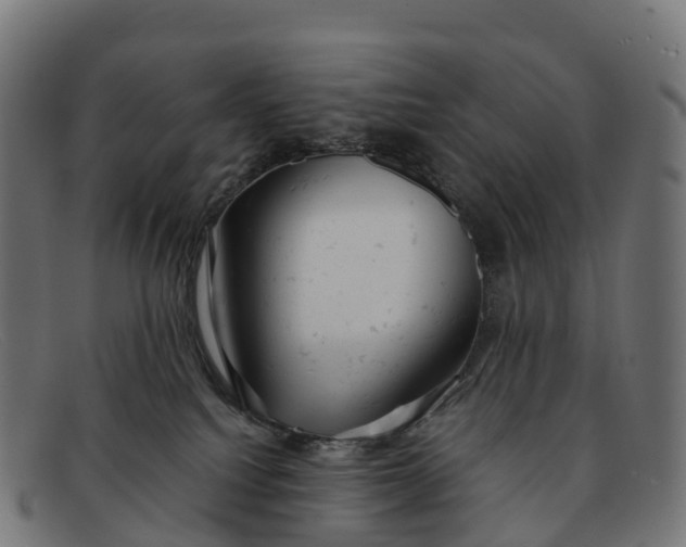 X0000091660088200709131518